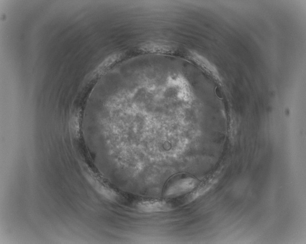 X0000081450065200701261923