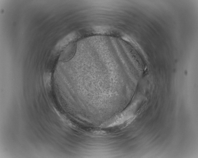 X0000081450066200701261923