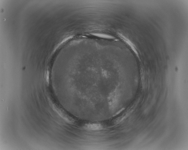 X0000081450067200701261923