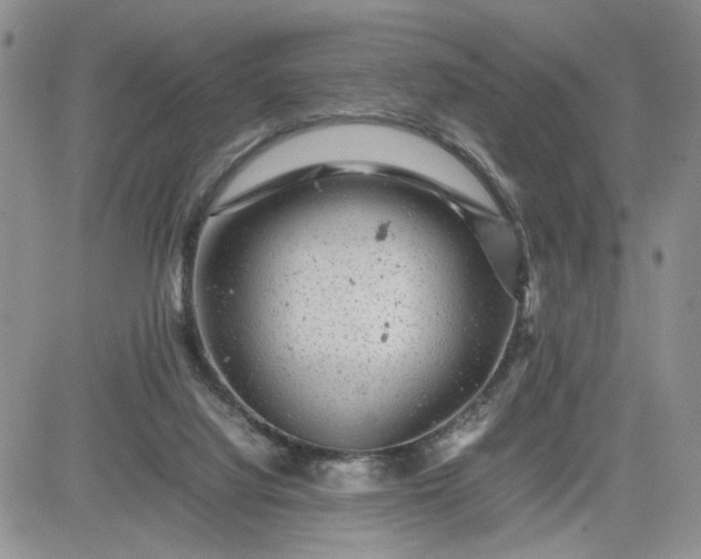 X0000081450068200701261923