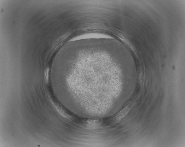 X0000081450070200701261923