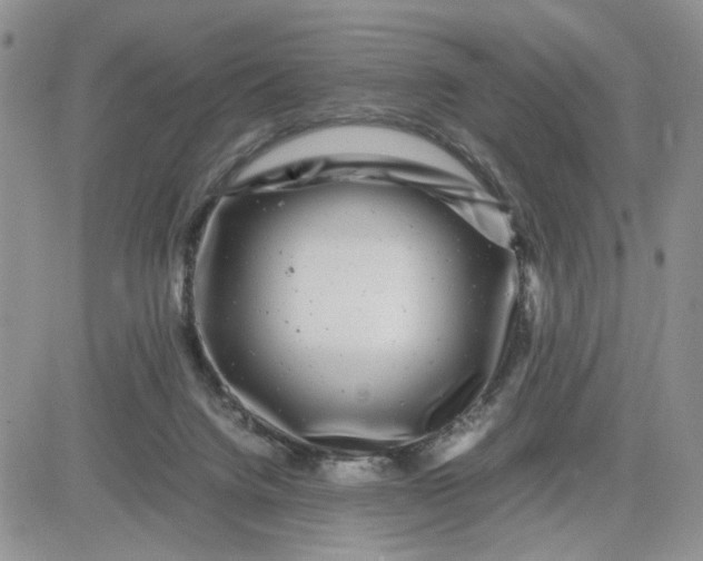 X0000081450072200701261923