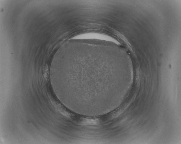 X0000081450073200701261923