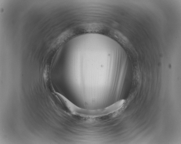 X0000081450074200701261923