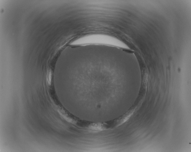 X0000081450076200701261923