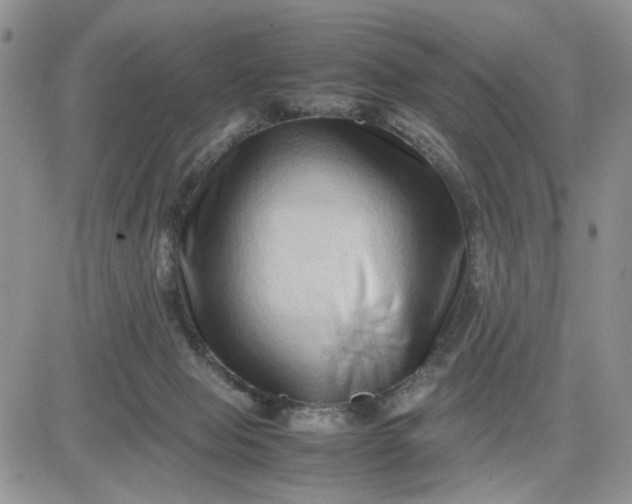 X0000081450077200701261923