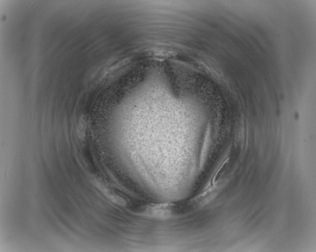 X0000081450078200701261923