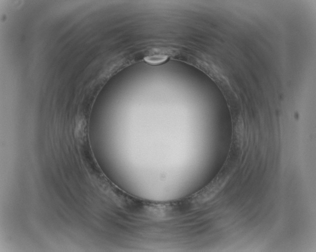 X0000081450079200701261923