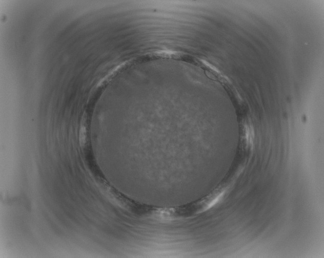 X0000081450080200701261923