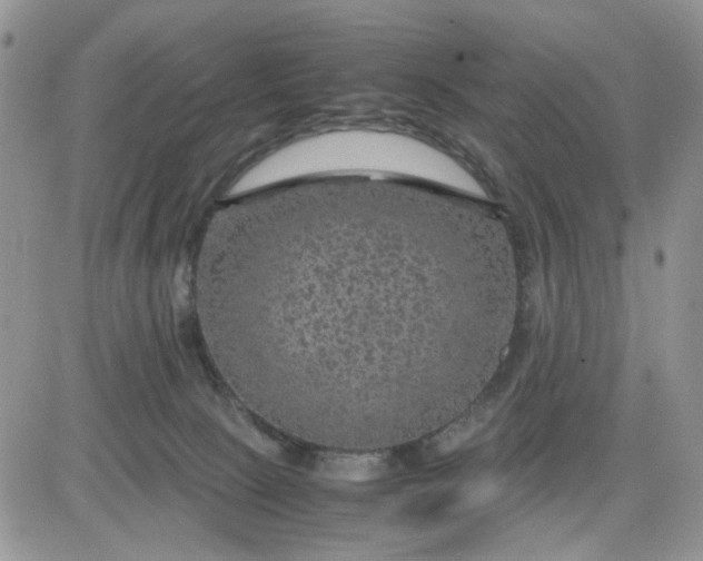 X0000081450081200701261923