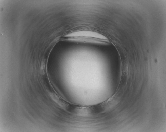 X0000081450082200701261923