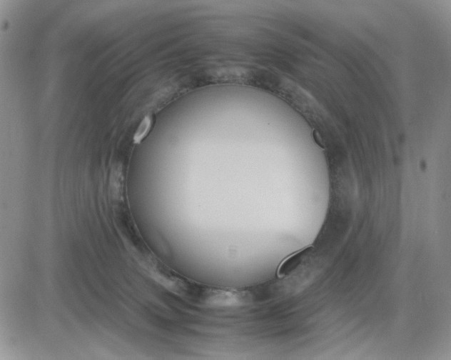 X0000081450083200701261923