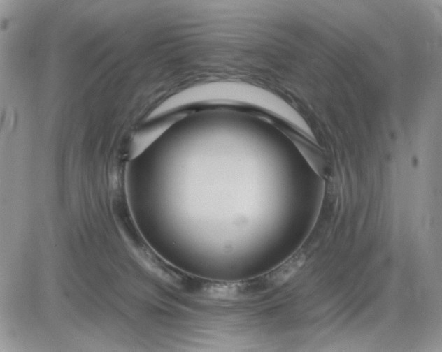 X0000081450084200701261923