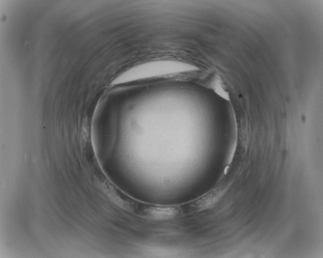 X0000081450085200701261923