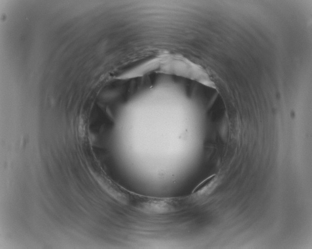 X0000081450086200701261923