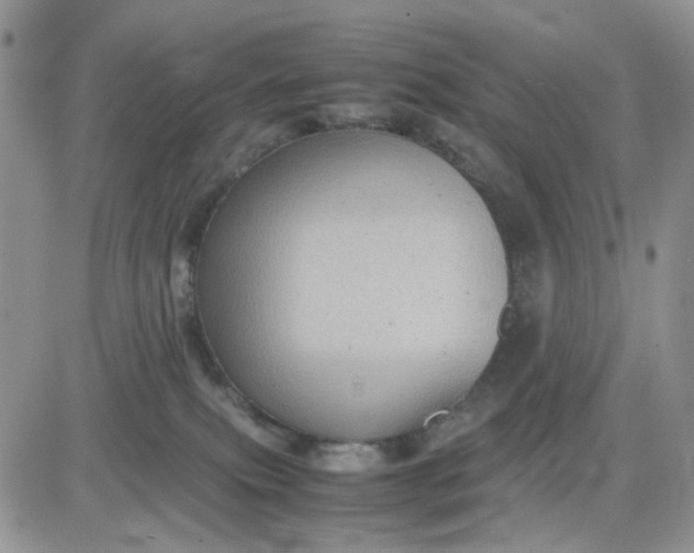 X0000081450087200701261923