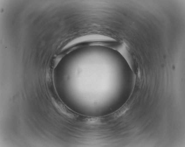 X0000081450088200701261923