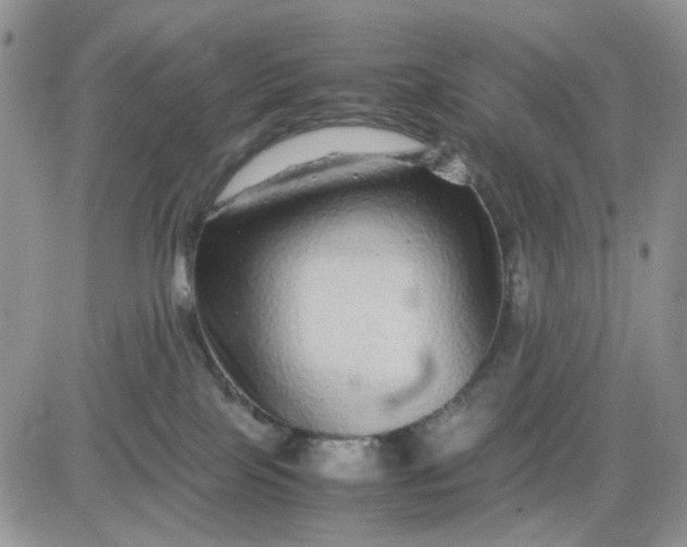 X0000081450089200701261923