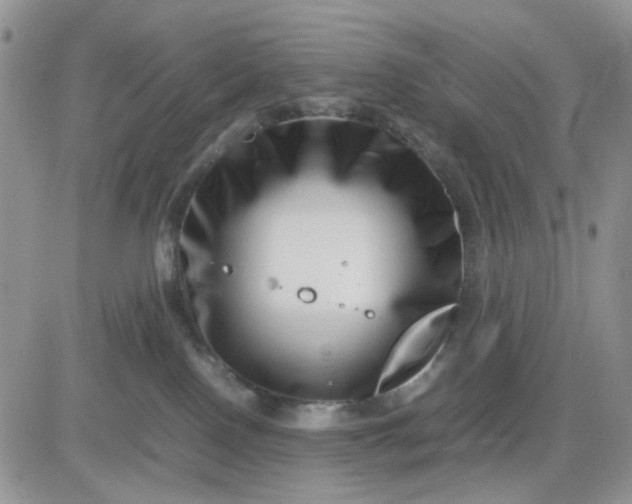 X0000081450090200701261923