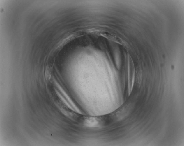 X0000081450091200701261923