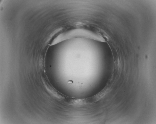 X0000081450092200701261923