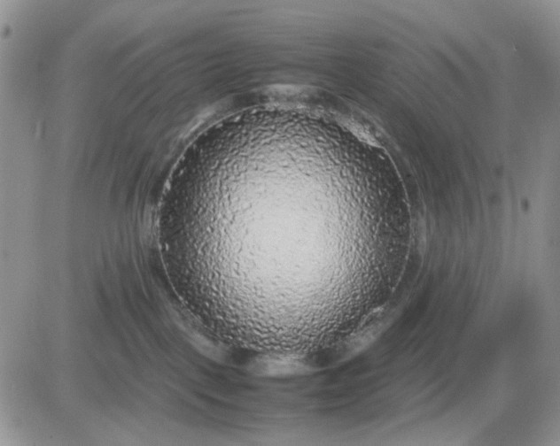 X0000081450093200701261923