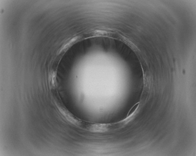 X0000081450094200701261923