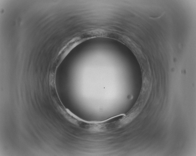 X0000081450096200701261923