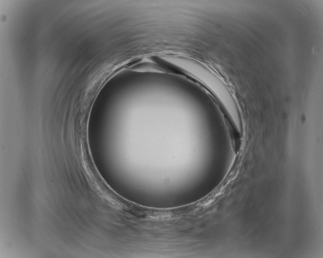 X0000081450097200701261923