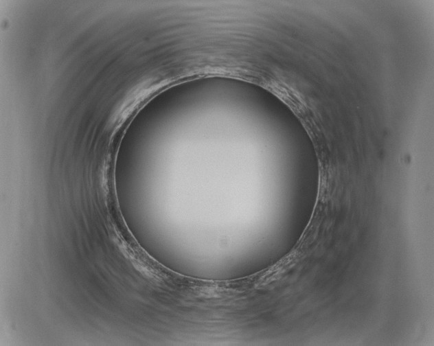 X0000081450098200701261923