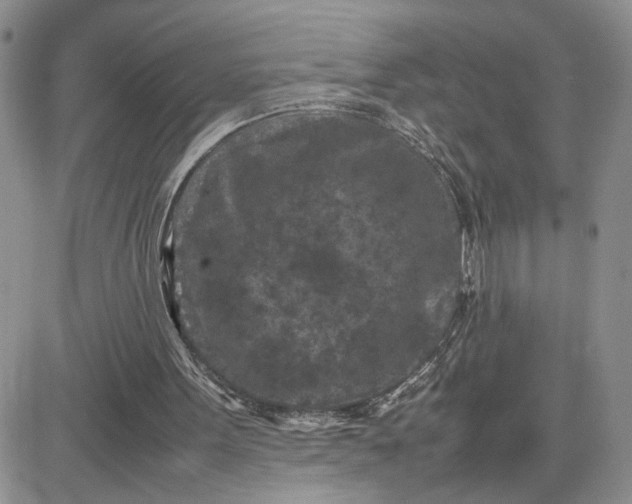 X0000081450099200701261923