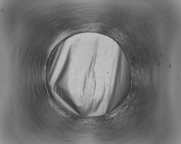 X0000081450100200701261923