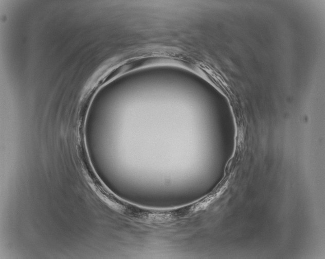 X0000081450101200701261923