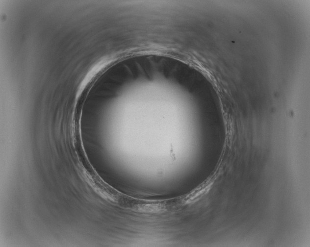 X0000081450102200701261923