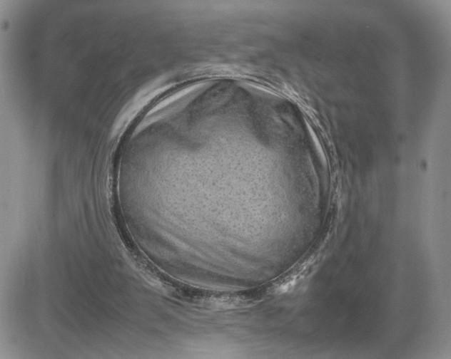 X0000081450103200701261923