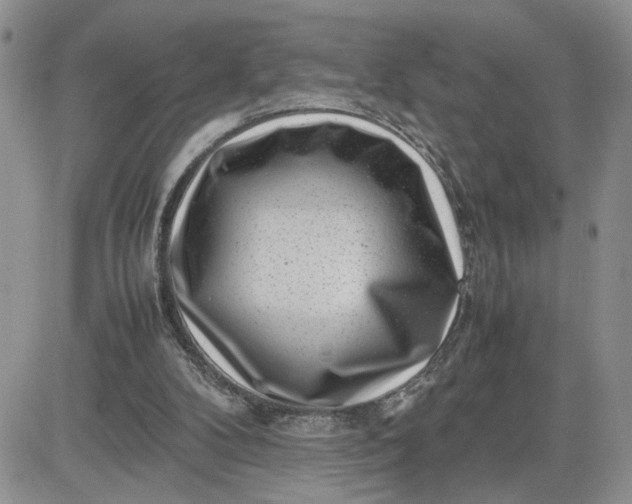 X0000081450104200701261923