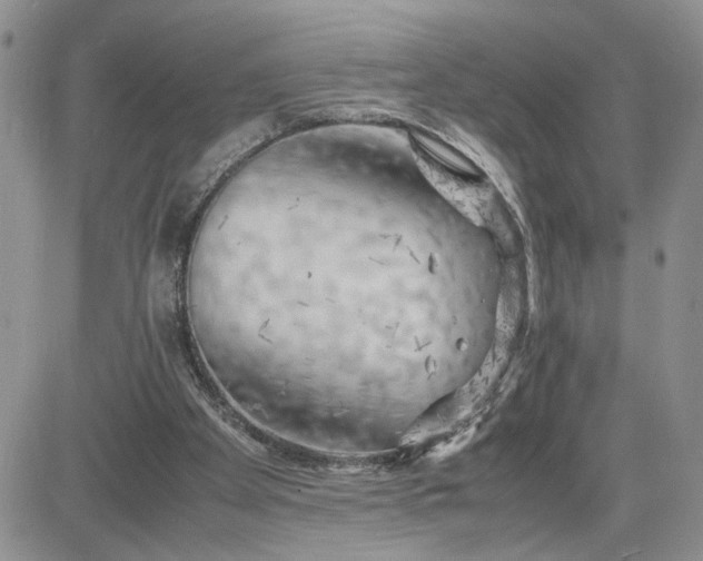 X0000081450105200701261923