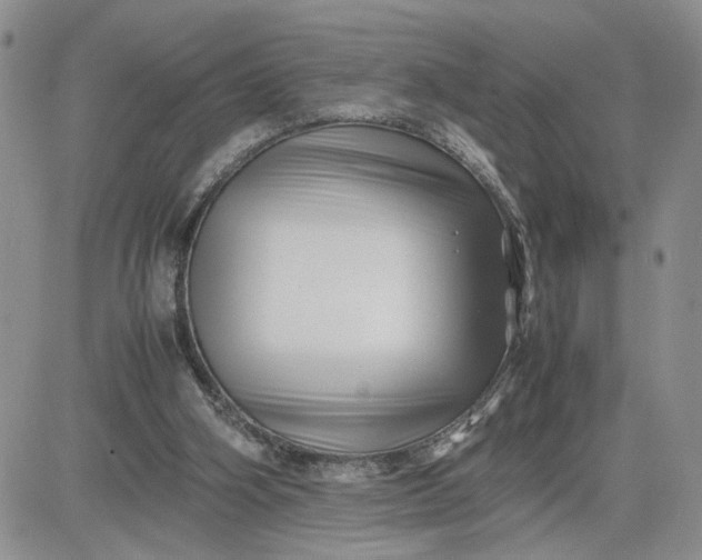 X0000081450106200701261923