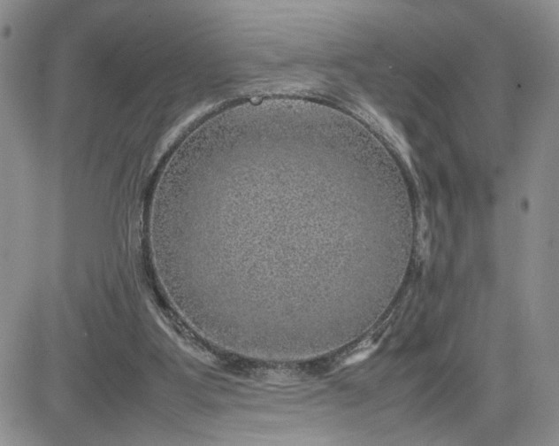 X0000081450107200701261923