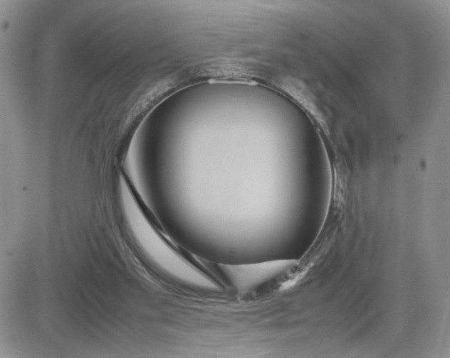 X0000081450109200701261923