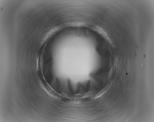 X0000081450110200701261922