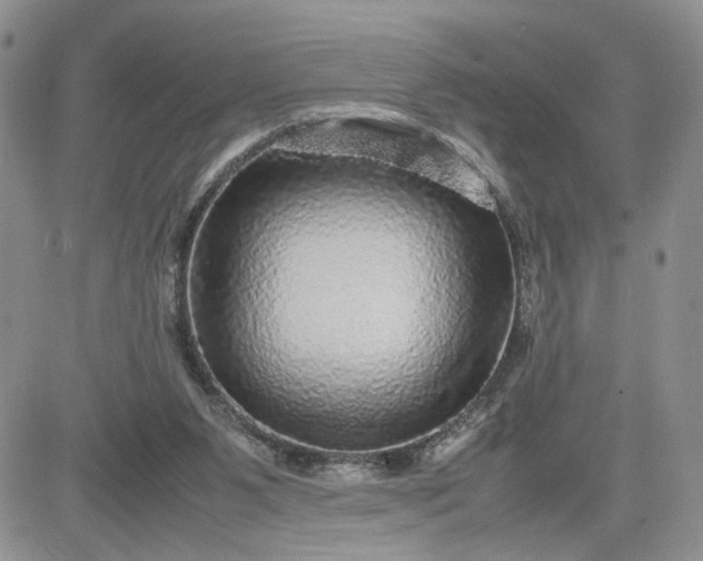 X0000081450111200701261922