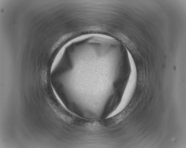 X0000081450112200701261922