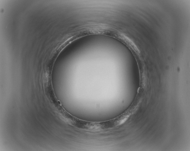 X0000081450113200701261922