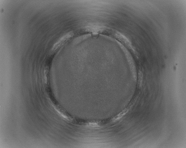 X0000081450114200701261922