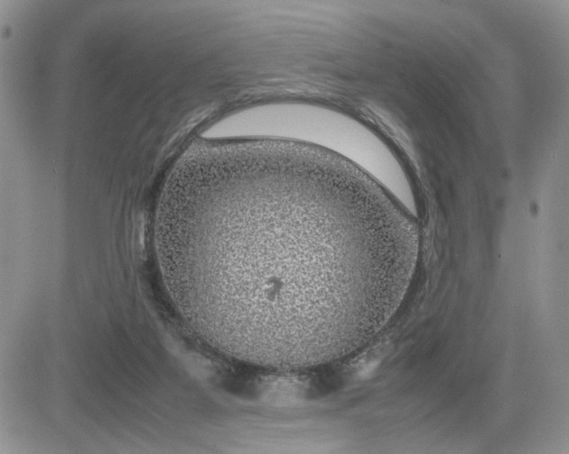 X0000081450115200701261922