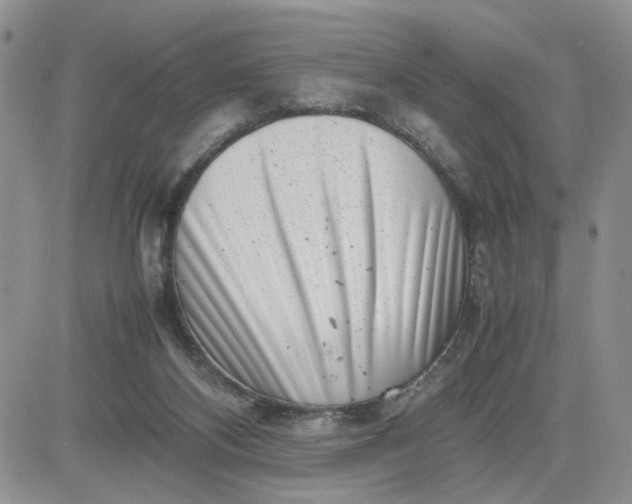 X0000081450116200701261922