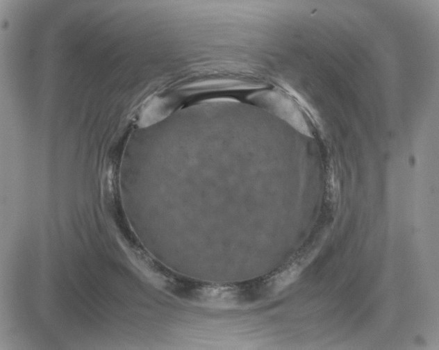 X0000081450117200701261922