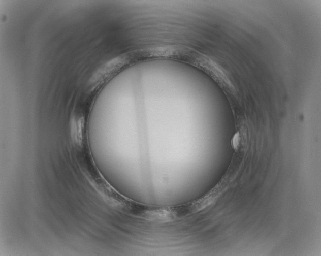 X0000081450118200701261922