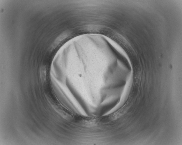 X0000081450120200701261922